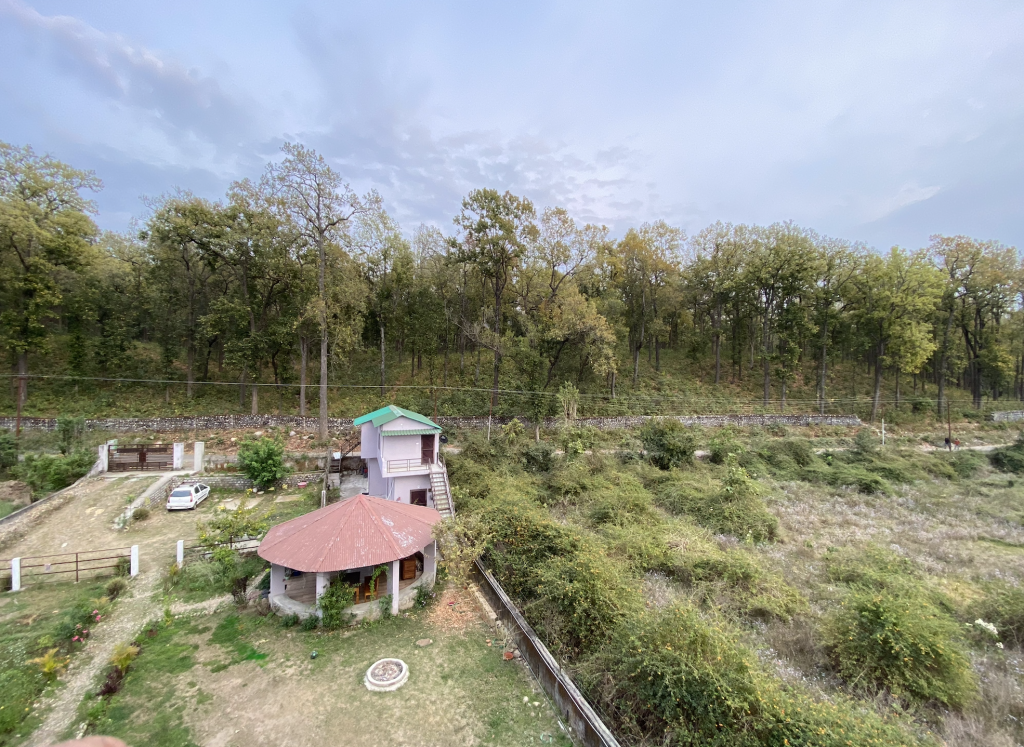 Sparrow Nest Homestay