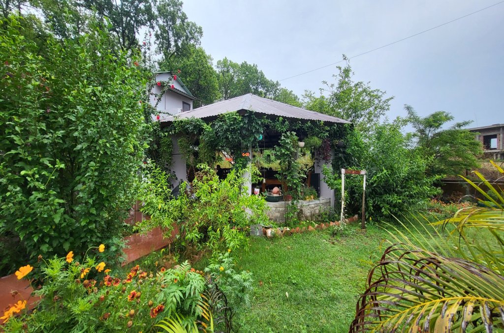 Sparrow Nest Homestay